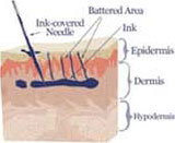 How a Tattoo is Created